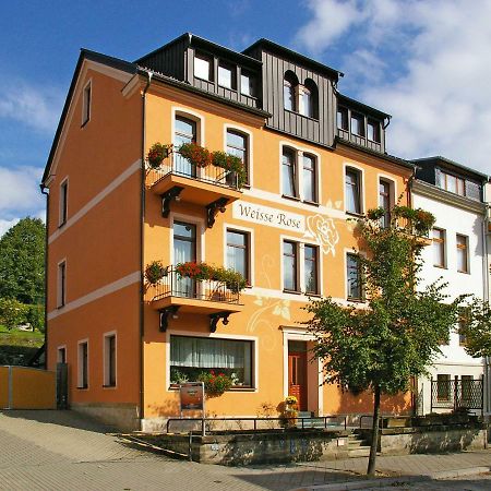 Frühstückspension Weisse Rose Bad Elster Exterior foto
