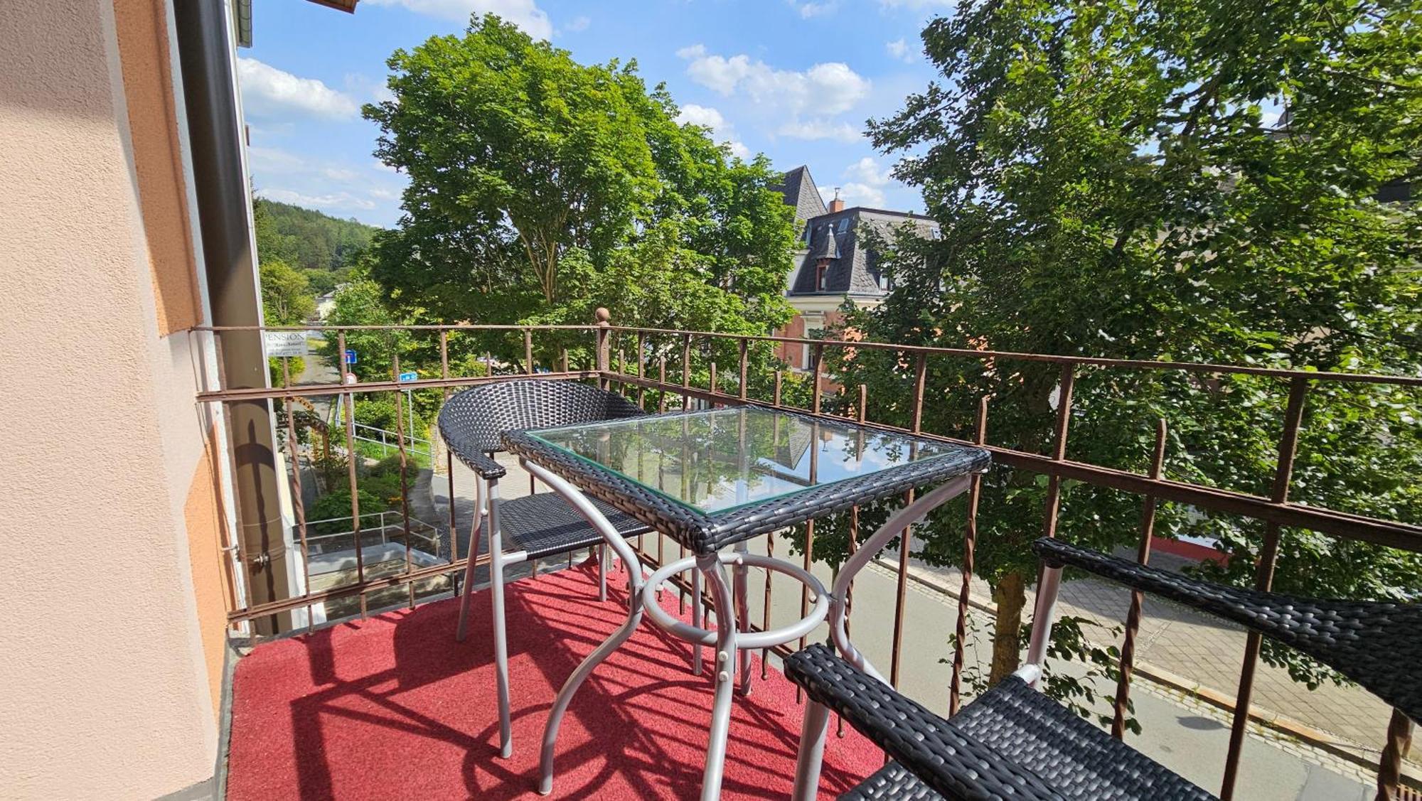 Frühstückspension Weisse Rose Bad Elster Exterior foto